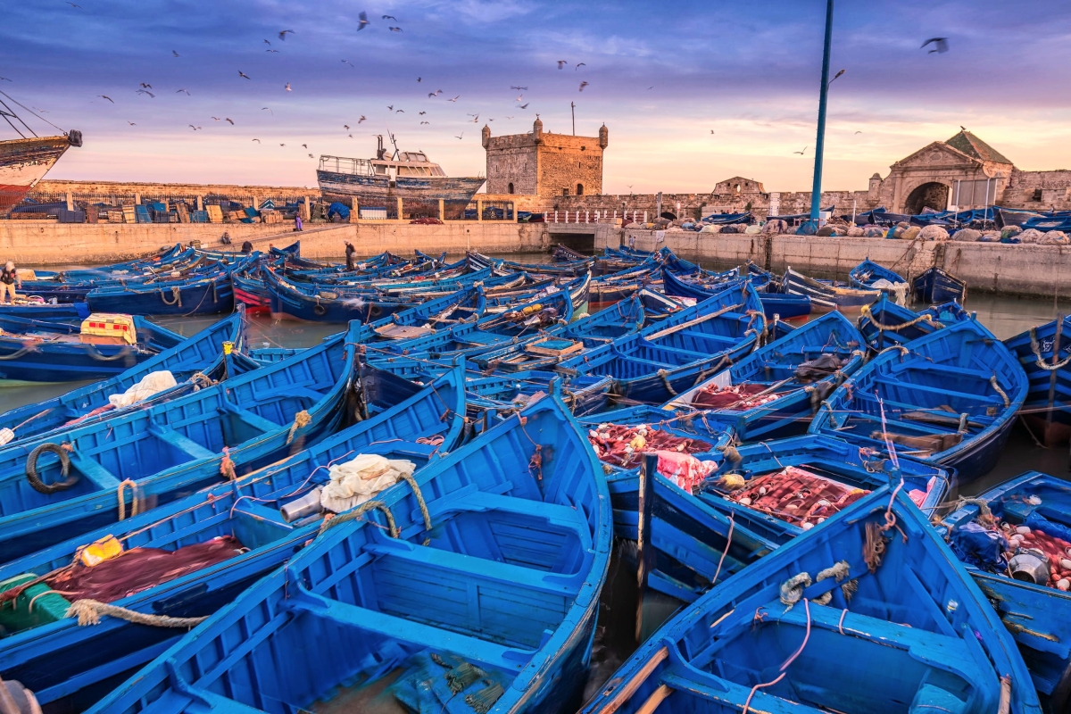 Essaouira Day Trip from Marrakech with pickup