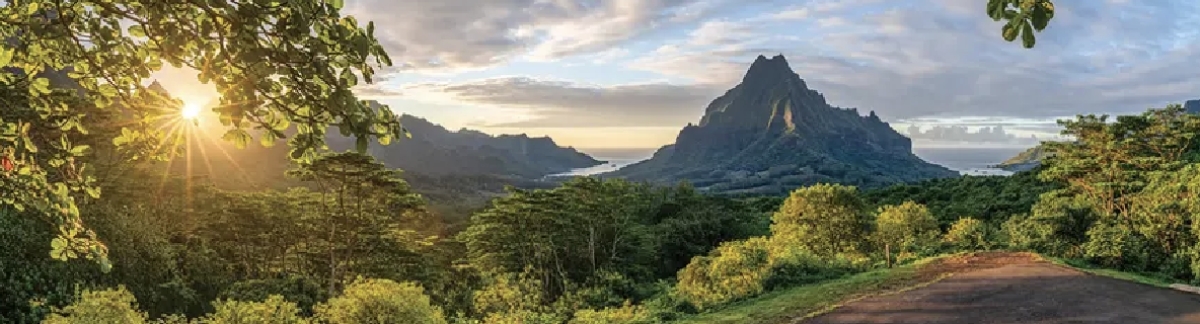 Moorea Safari Tours with hotel transfert