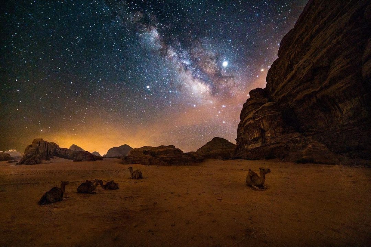 Jordan's Wonders: 5-Day Highlights Tour