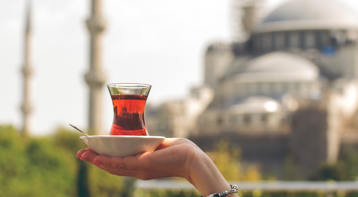 Private 6 Days Istanbul Gallipoli Troy Pergamon & Kusadasi Tour | Explore Turkey's History