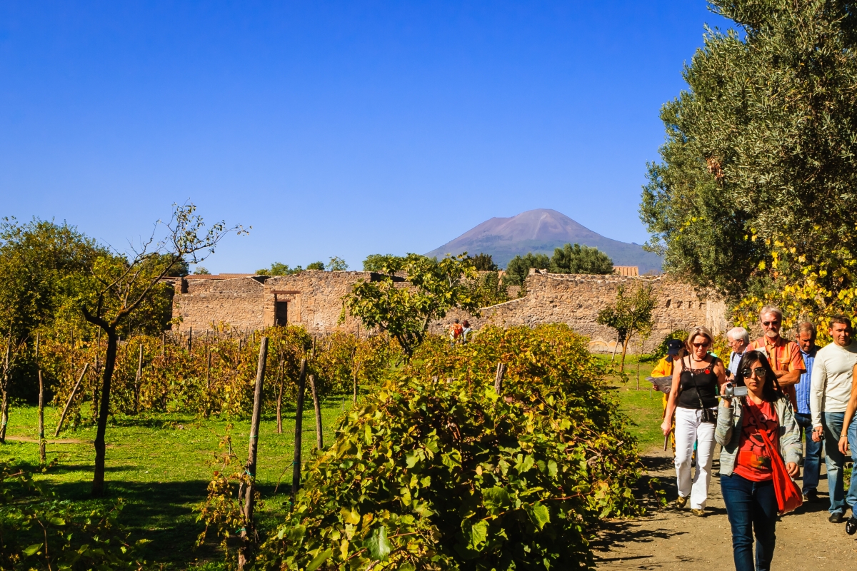 Explore Pompeii and Mt Vesuvius with Lunch and Wine Tasting from Naples - Private tour