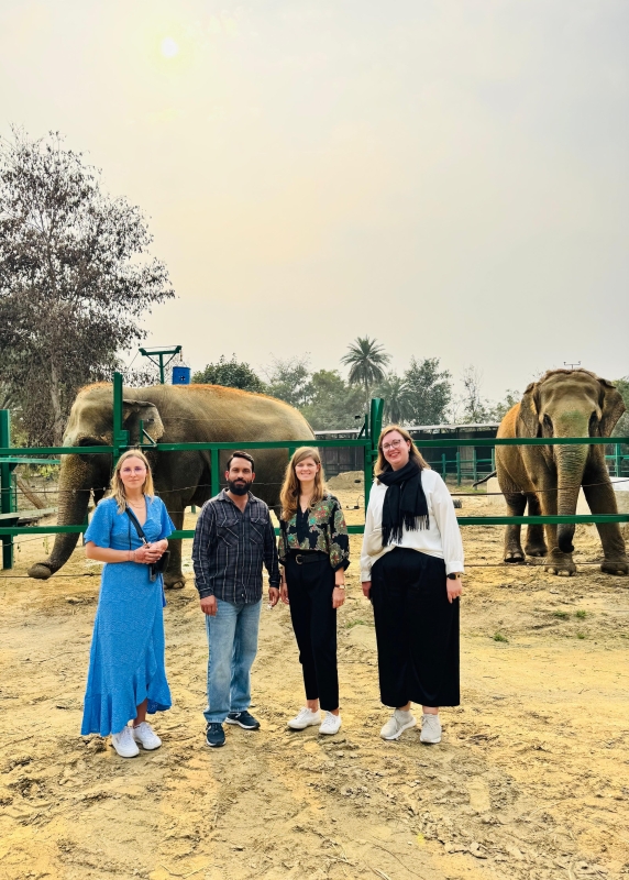 Taj Mahal Sunrise With Elephant Conservation Centre Local Tours