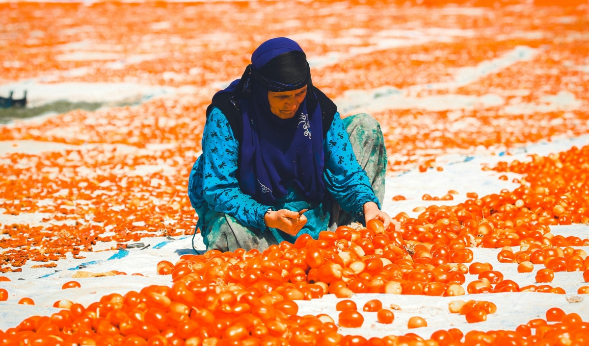 8-Day Ancient Wonders Tour: Exploring Gaziantep, Sanliurfa, Diyarbakır & Mt. Nemrut