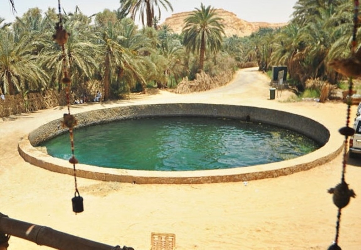 Private Grand Safari And Antiquities of Egypt (10 Days)