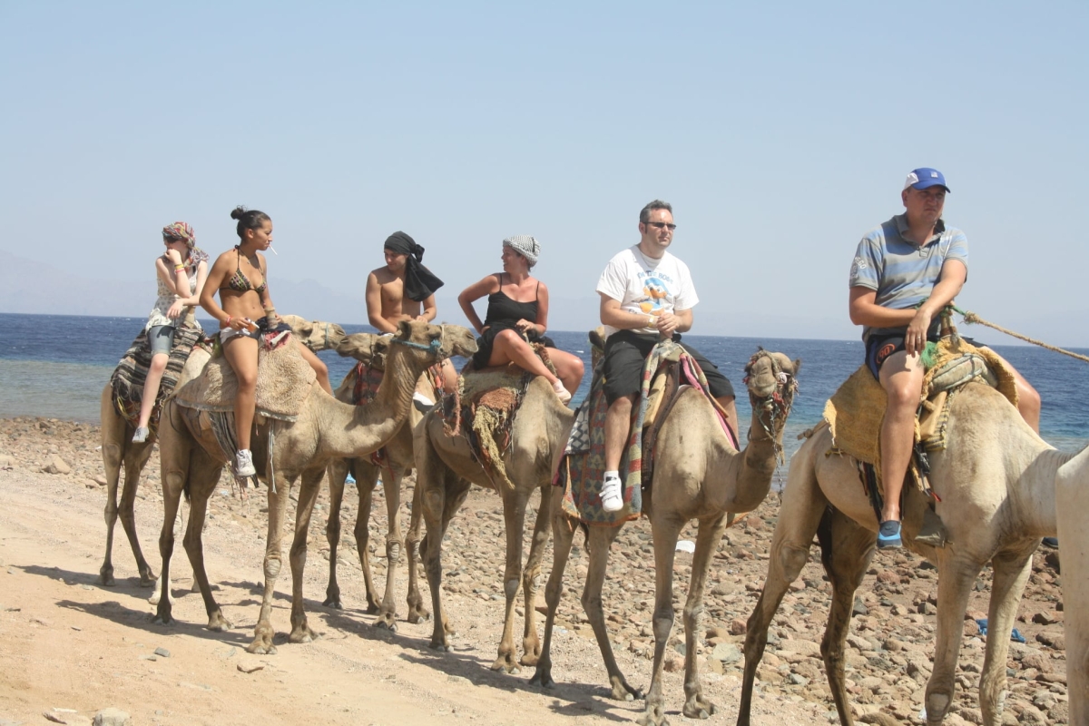 Old Virgin – Discover Sinai With Jeep Safari