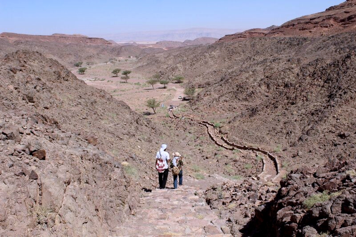 Private Safari& Camping Adventure in Serabit