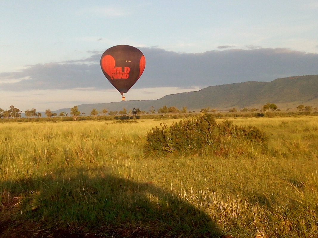An Unforgettable 9-Day Safari Through Kenya’s Iconic Parks