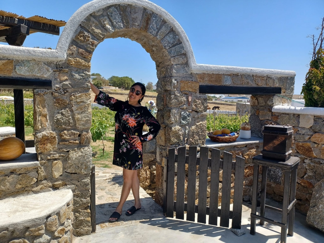 Visit the Mykonian Farm