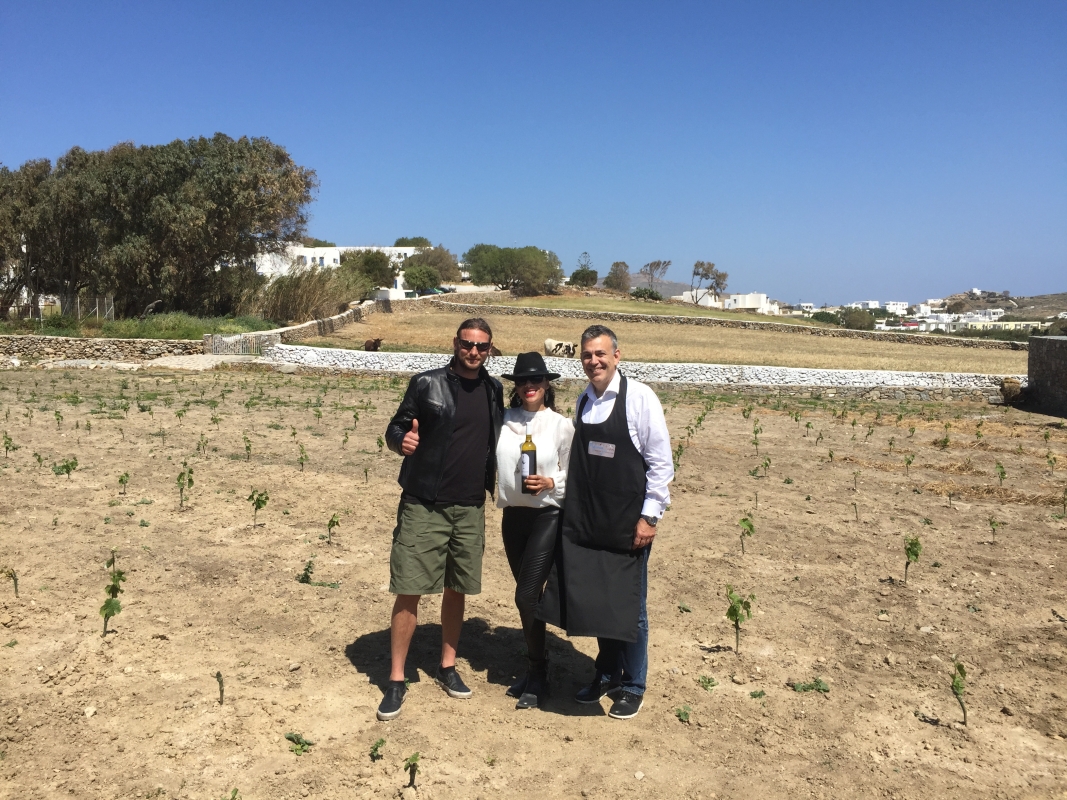 Wine Tasting at the Farm