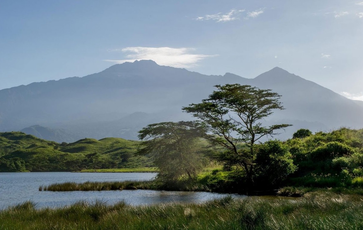 Day Tour Safari To Arusha National Park