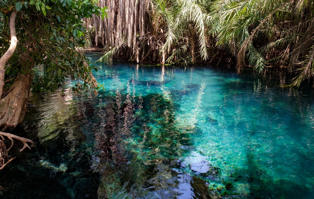 Day Trip To Kikuletwa Hot Springs/ Maji Moto