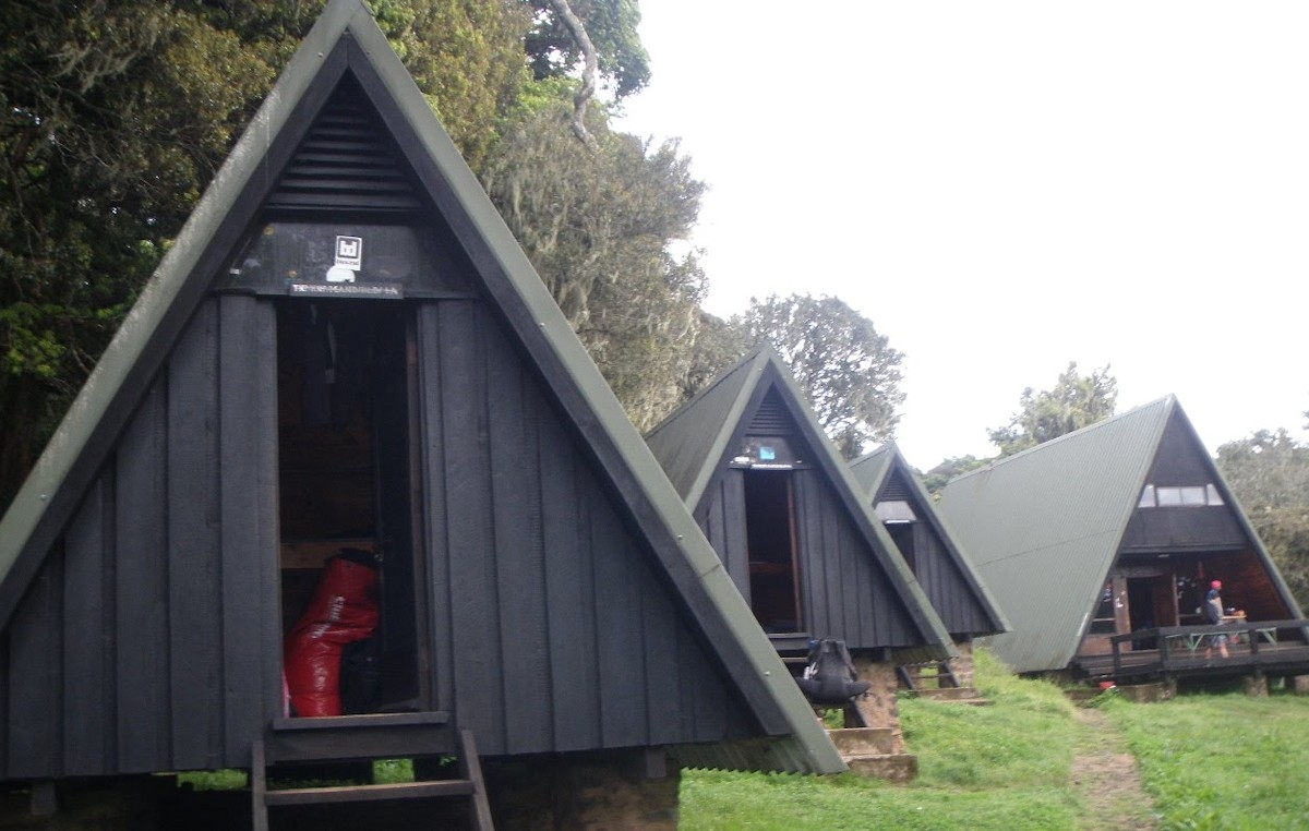 Day Tour Kilimanjaro – Mandara Hut