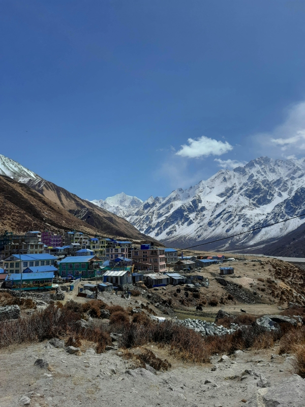 10 Days Langtang Valley Trek