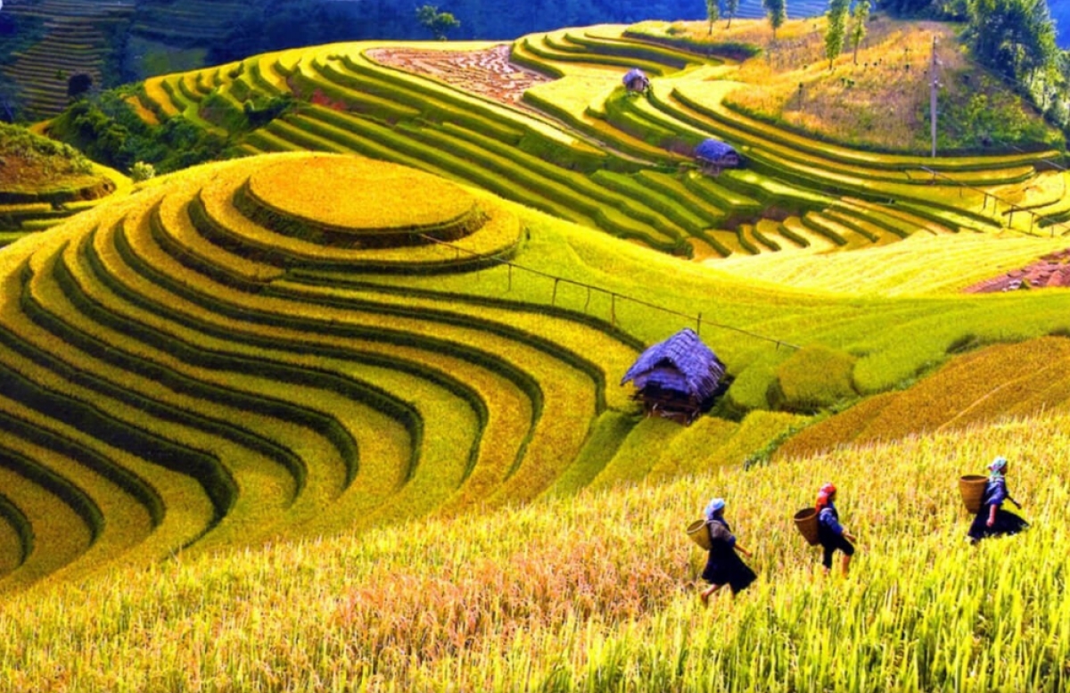 Sapa 3 Days 2 Nights from Hanoi - Overnight in Ta Van Village