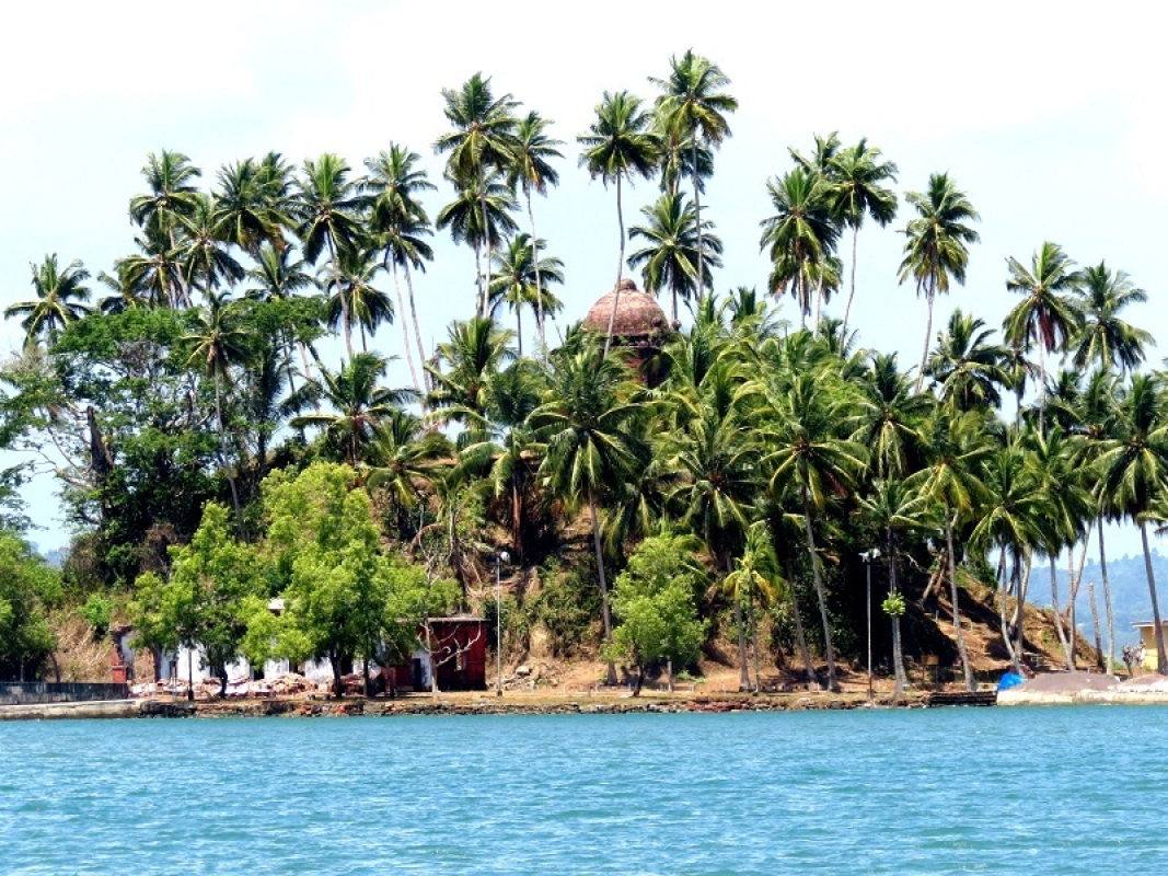Enjoy Honeymoon in Andaman 5 Nights / 6 Days