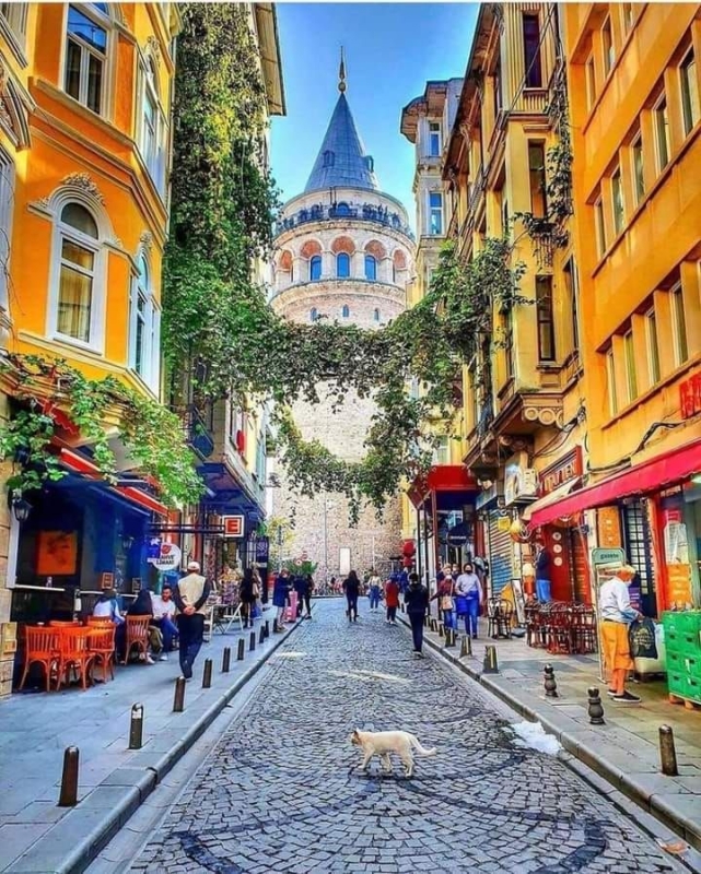 Synagogue with Mosque and Church Walking Tour in Istanbul