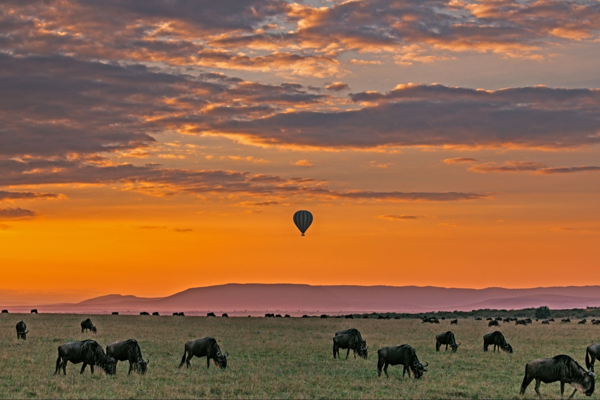 5 Days Masai Mara, L. Nakuru & Hells Gate National Park.