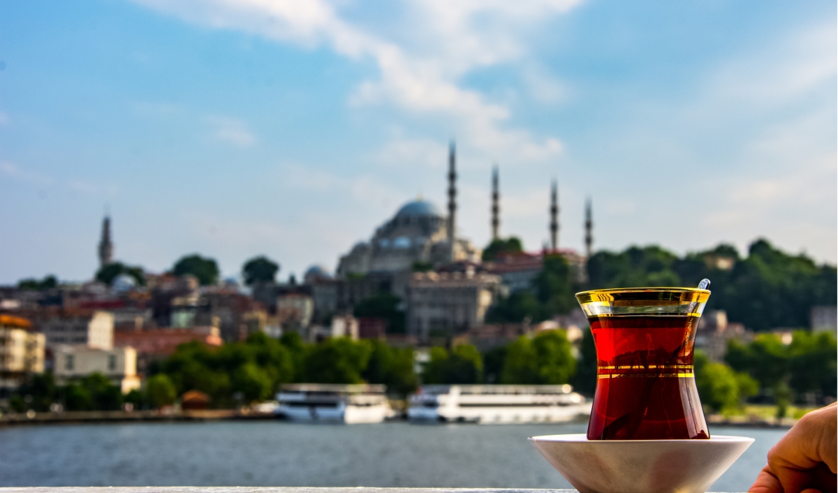 6 Day Istanbul & Bursa Tour: History, Nature & Bosphorus Gala Cruise