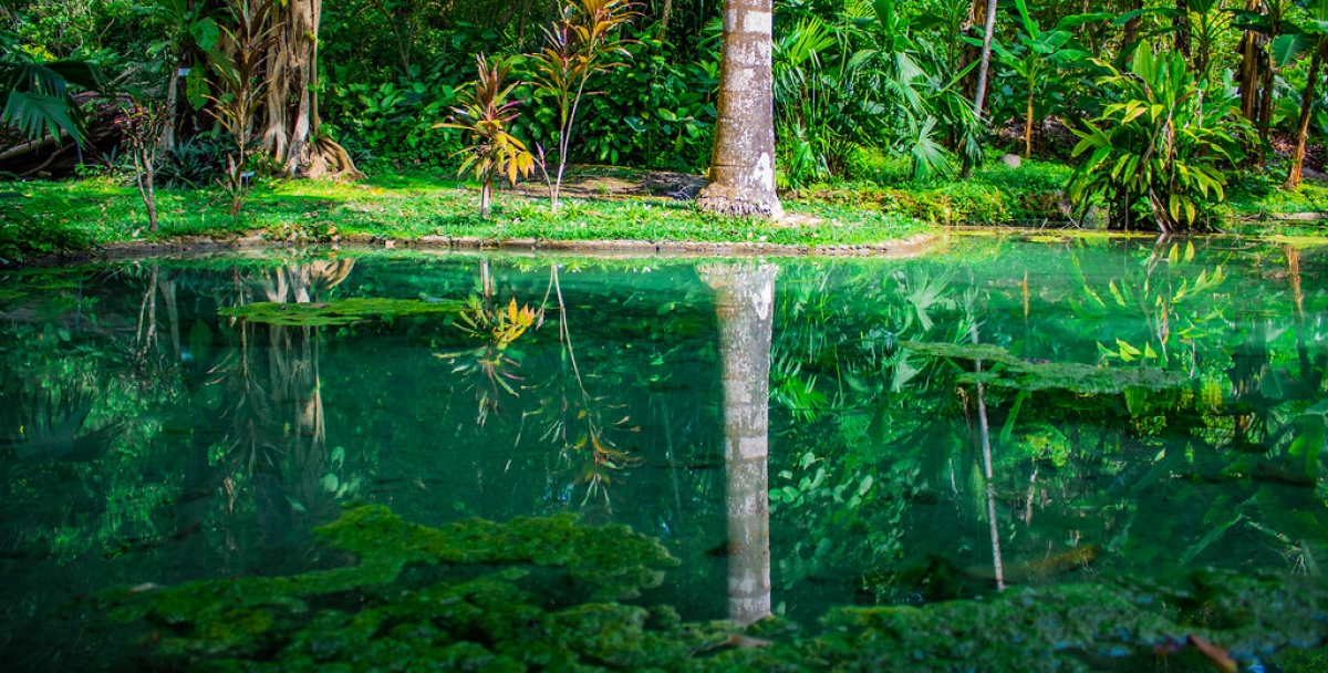 5 Days Colombia Cartagena Flavors and Nature Tour