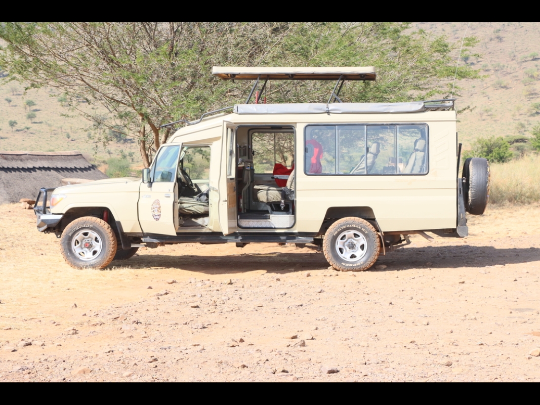 Big 5 Safari in Tanzania