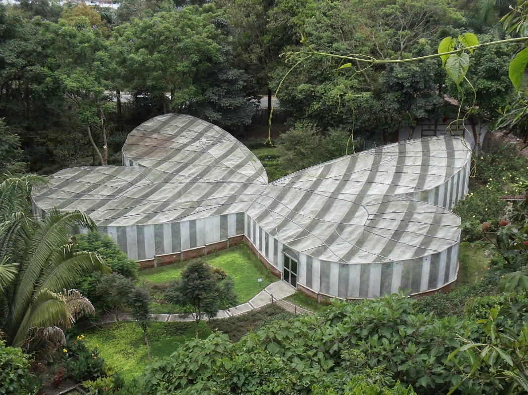 5 Days in Colombia Essence of Quindío: A Journey Through Coffee, Nature, and Culture