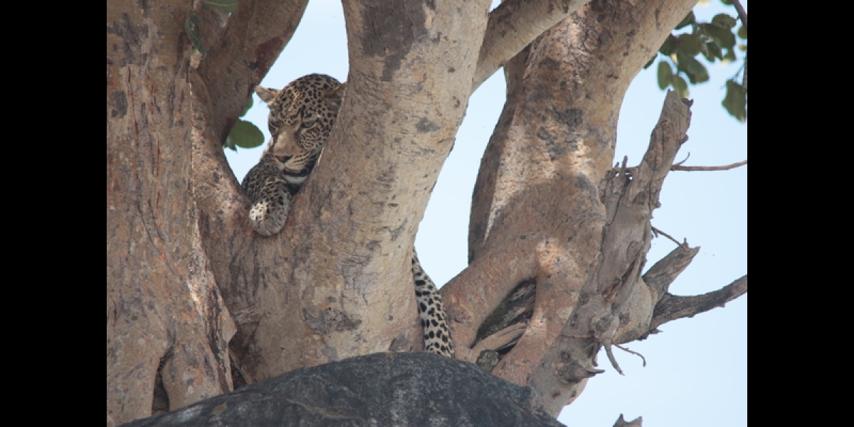 8 Days of Romance: Beach & Safari in Tanzania