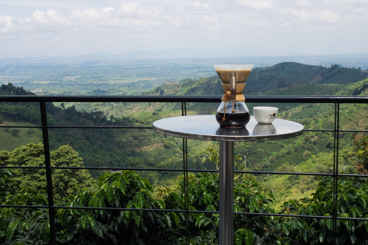 8 Days Colombia: A Cacao and Coffee Escape