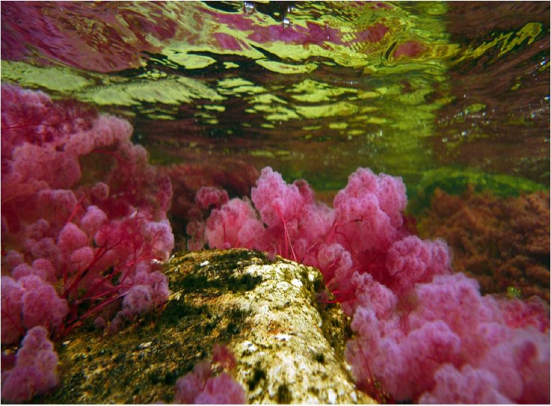 7 Days in Colombia: A Tapestry of Color