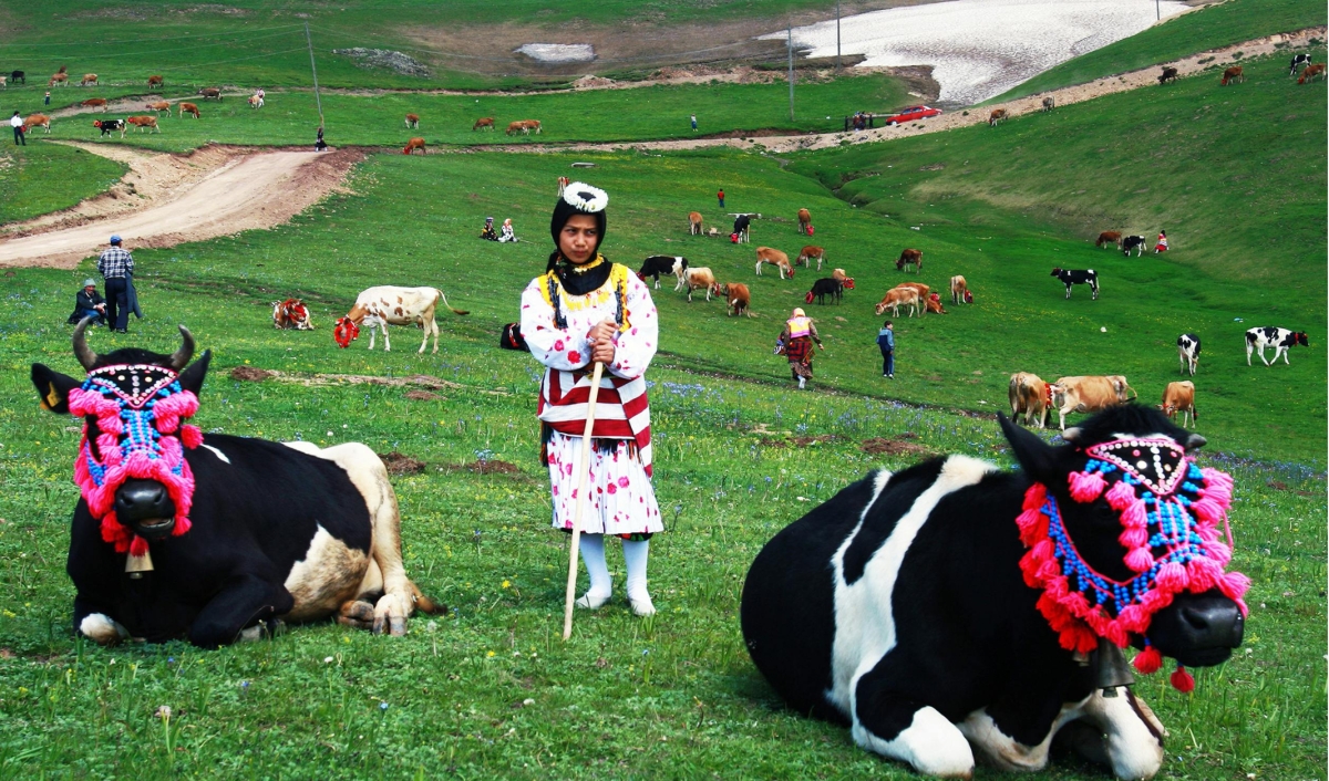 Black Sea Turkey 15 Day Tour