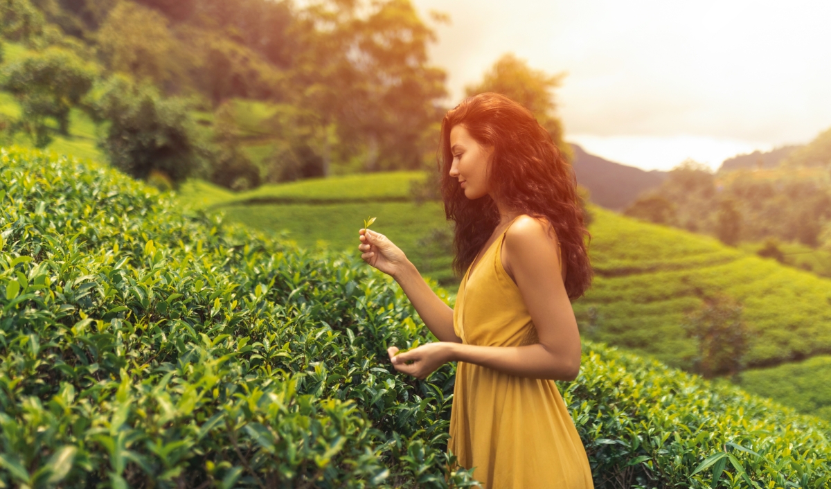 Discover Black Sea & Bosphorus 11 Day Trabzon to Istanbul All-Inclusive Signature Tour