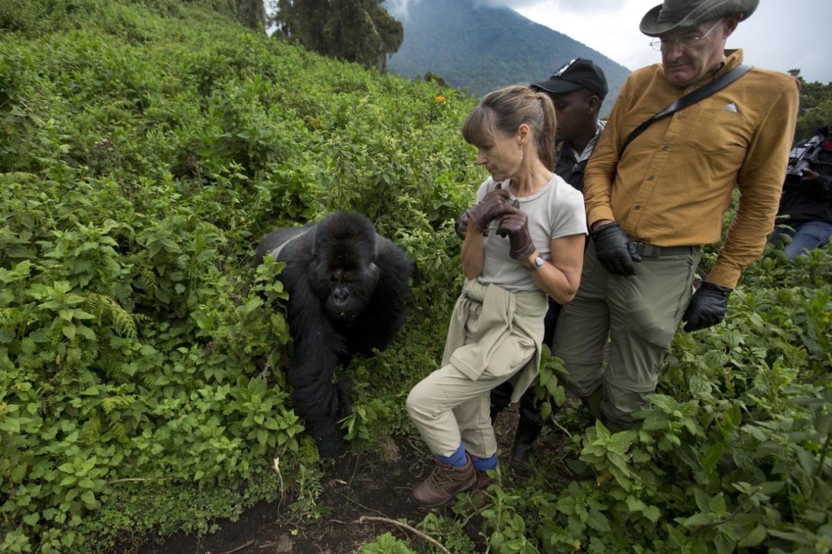 3 Day Gorilla trekking Safari in Uganda