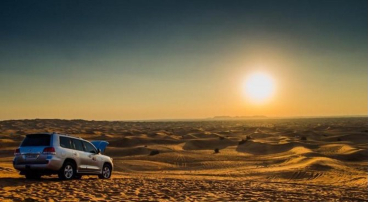 Morning desert safari