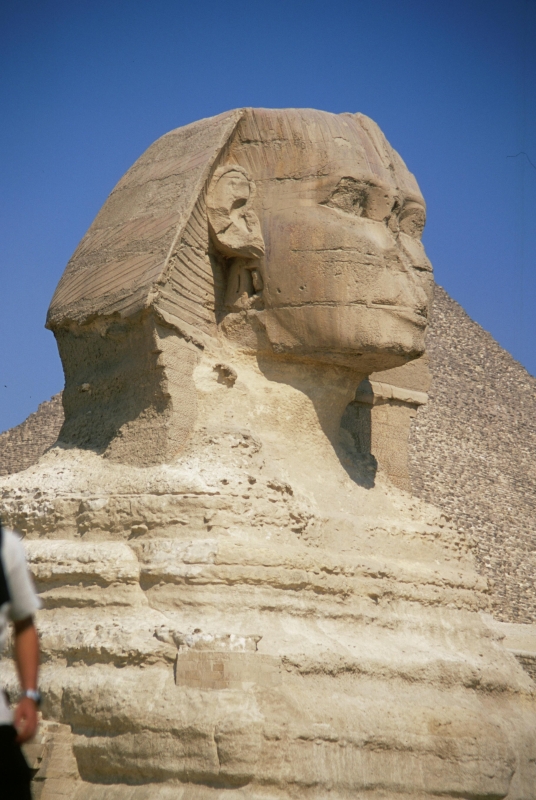 Half-Day Tour (The Great Pyramids)