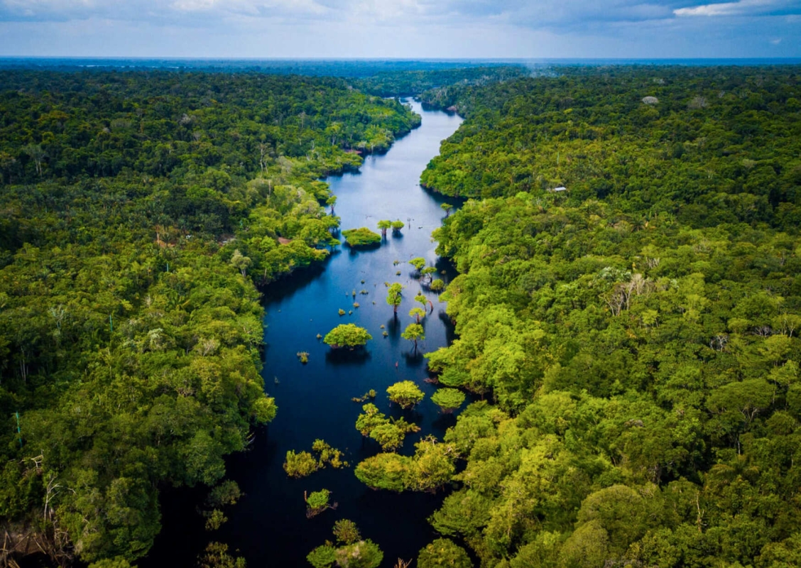 9 Days From Inca Ruins to the Rainforest
