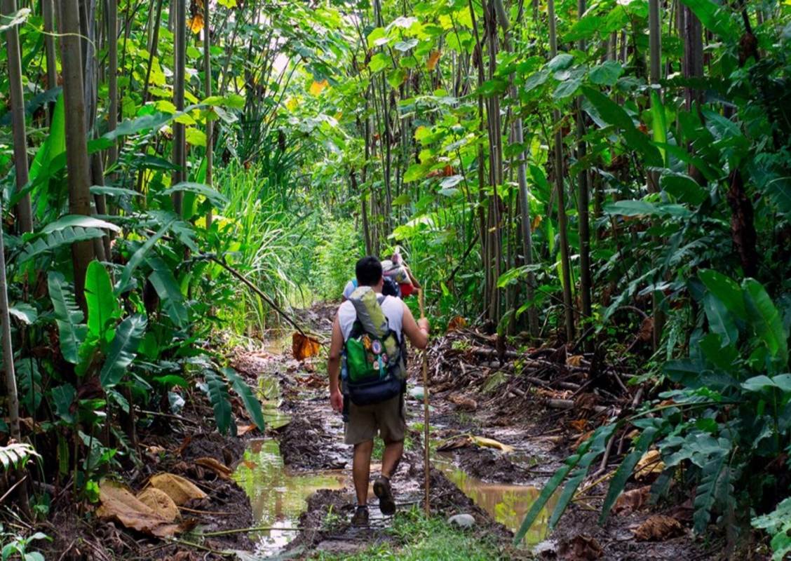3 Days Amazon Jungle Adventure