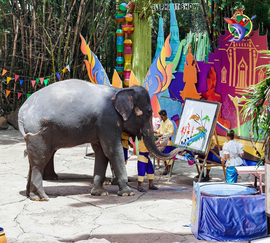 Safari World + Marine Park with Lunch