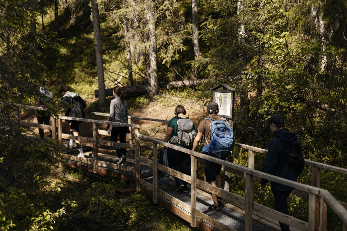 Auttiköngäs Nature Trail