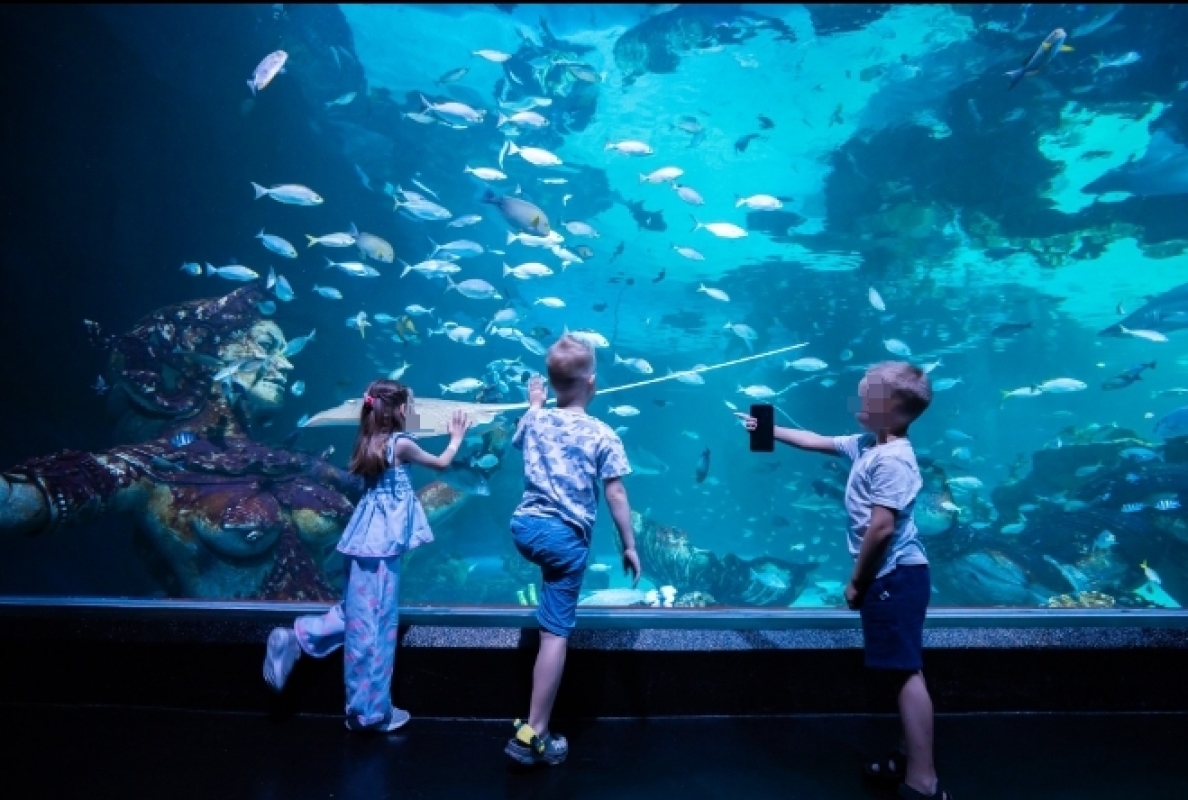 Aquaria Phuket and 4D Trickeye Museum Ticket