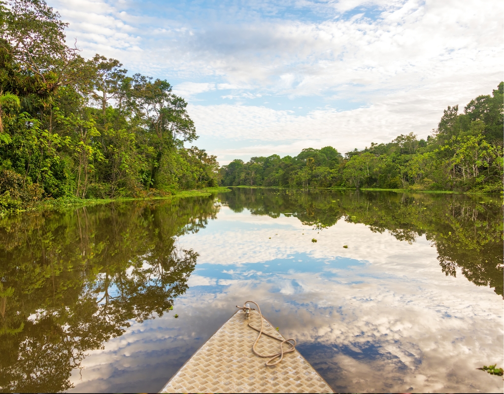 8 Days - 360° Deep into Cuyabeno