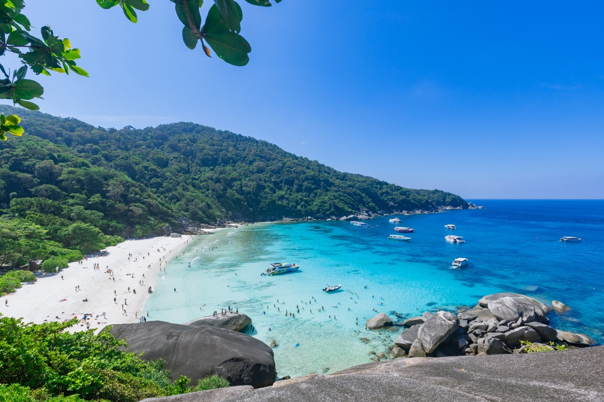 Similan Island Tour Day trip By Speed Boat