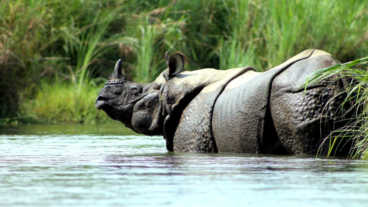 Chitwan National Park Tour 5 Days