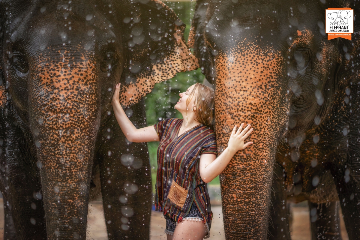 Elephant Jungle Sanctuary Phuket - Half day visit