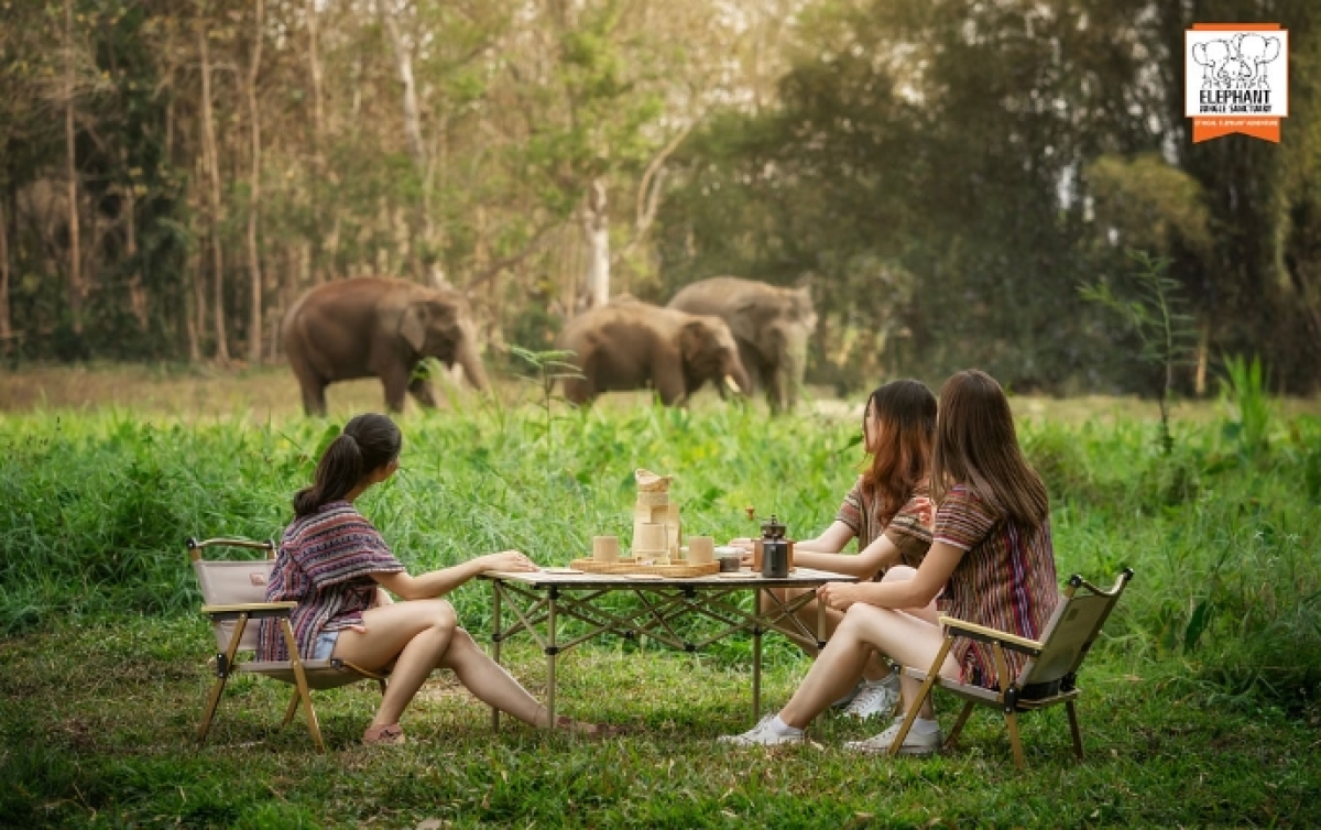 Elephant Jungle Sanctuary Chiang Mai -  Watch Me Tour