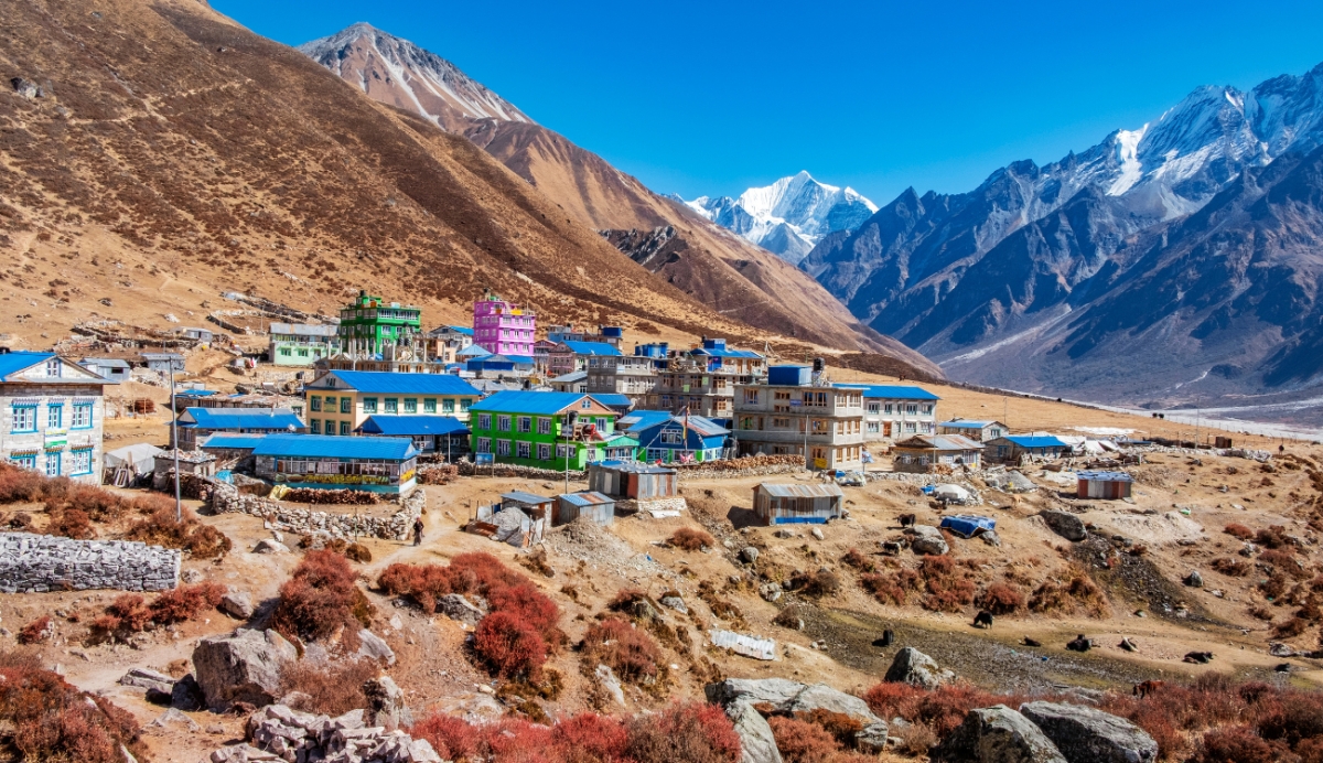 Guided Hike to Langtang Village: Stunning Views & Nature