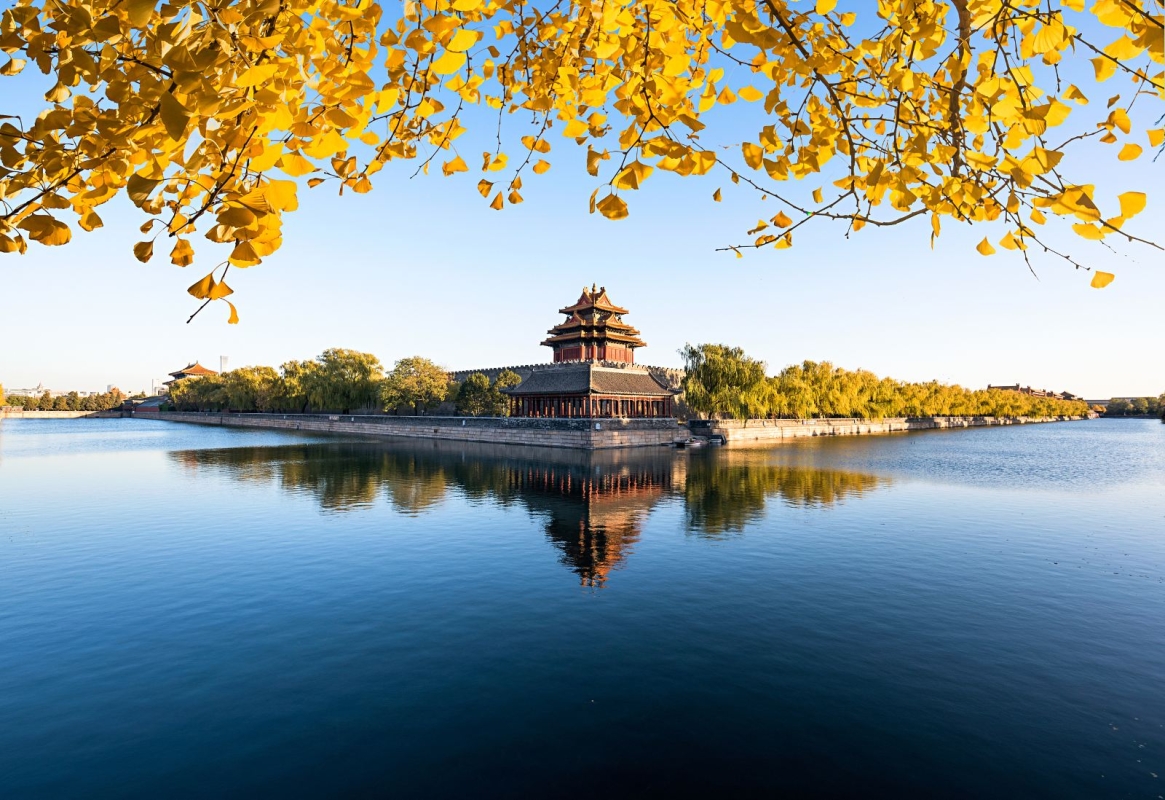 Half-Day Tour of the Palace Museum (Beijing)
