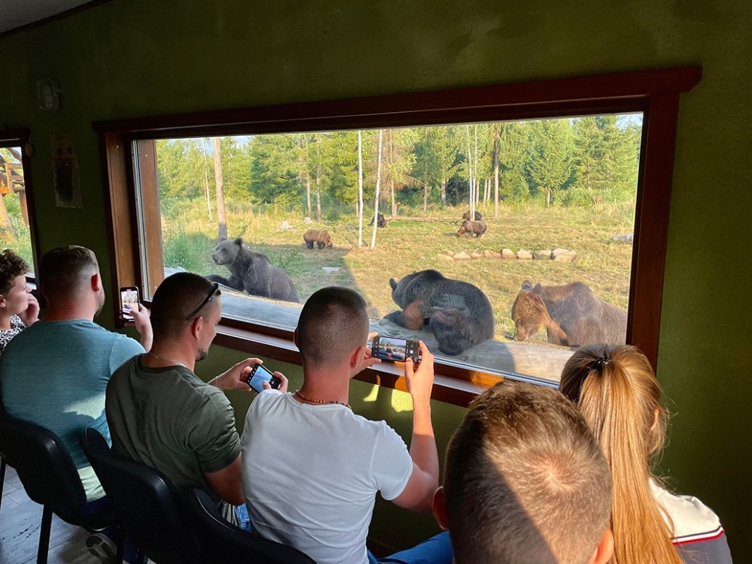 3 Day Adventure Tour Bear Watching, Bicaz Gorge & Red Lake