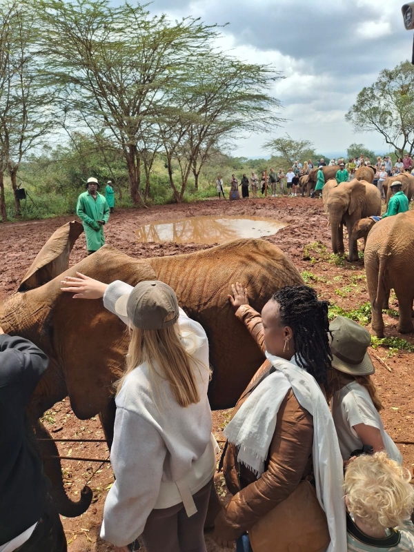 7-Day Classic Kenya Safari — Samburu, Ol Pejeta, Nakuru & Amboseli with Jossec Safaris