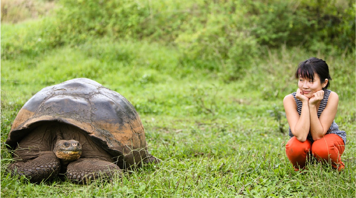 7 Days – Galapagos Loop: Immersive Experience