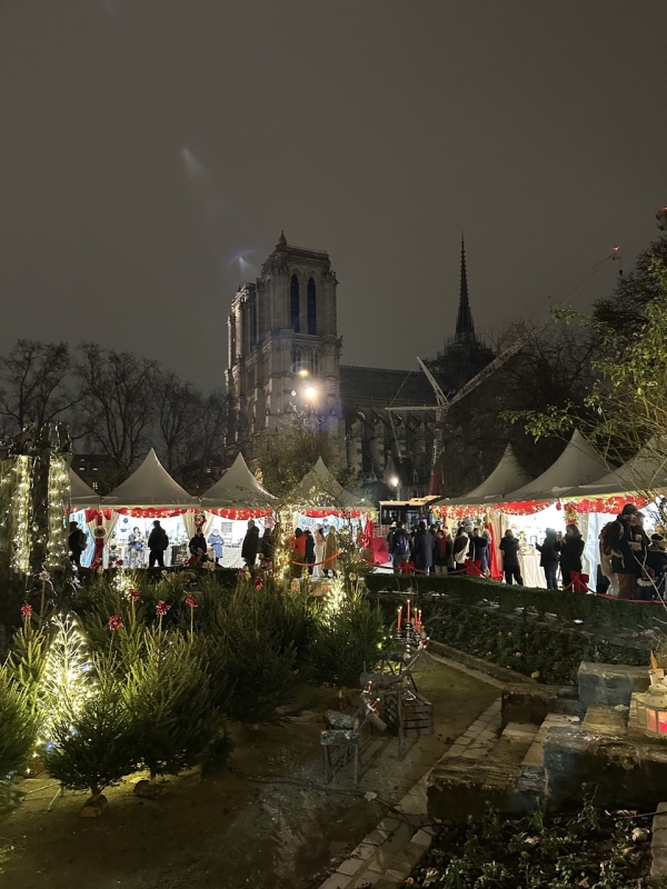 Paris Christmas Walk: Markets & Lights (Private)