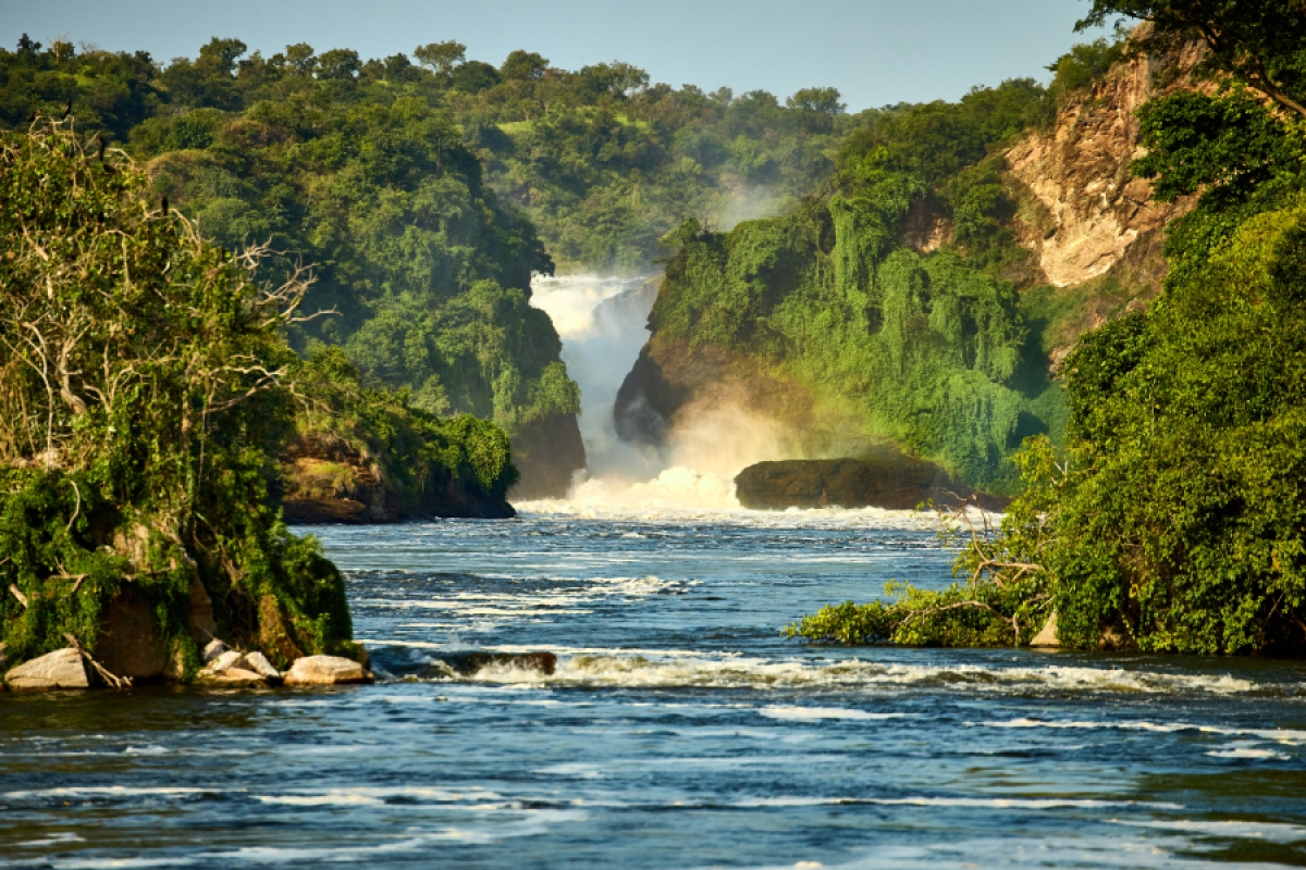 6 Days Chimpanzee Trekking Wildlife Safari to Uganda